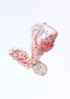 anna sieradzka-kubacka 1 (2)_edited.jpg