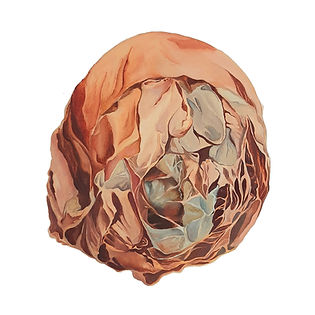 Fiddlehead — Latence I.jpg