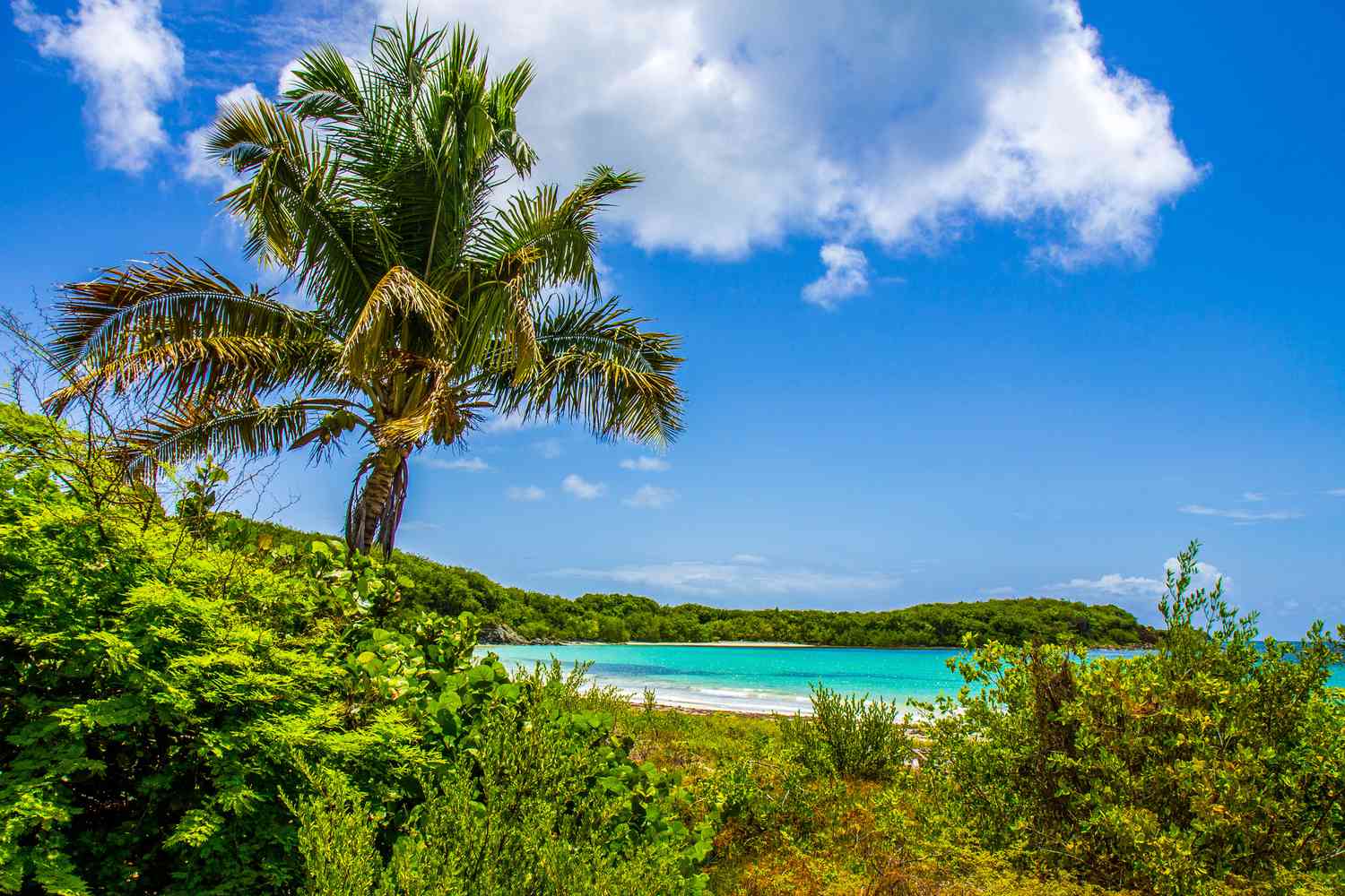 Weather in Puerto Rico