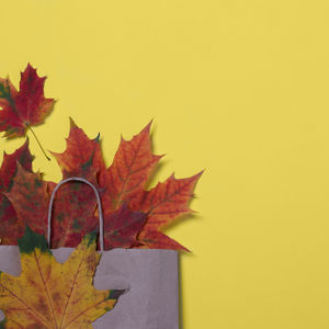 pexels-cottonbro-8767194