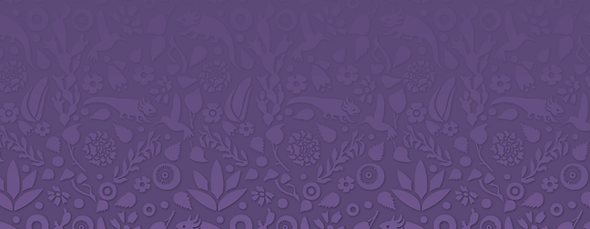 fondo2 copia2.png