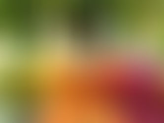 4 Recettes de smoothies détoxifiantes