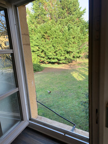 photo_5.jpeg