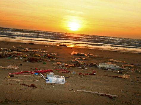 Ocean Plastic – Young People Tackle the Crisis