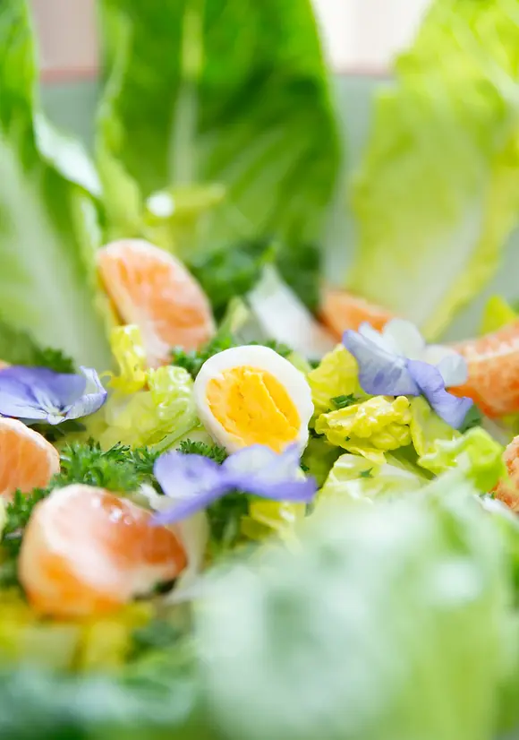 Zaligsmakend culinaire catering salade.webp
