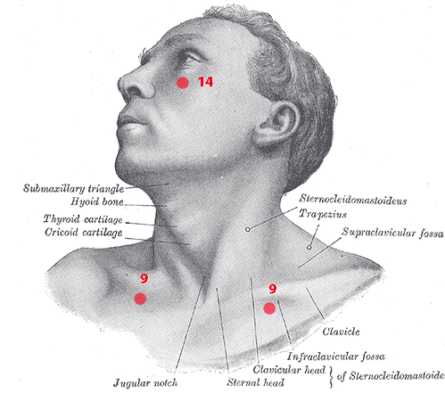 Knap-neck.png