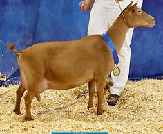 Wood Bridge Farm 22K Gold.jpg