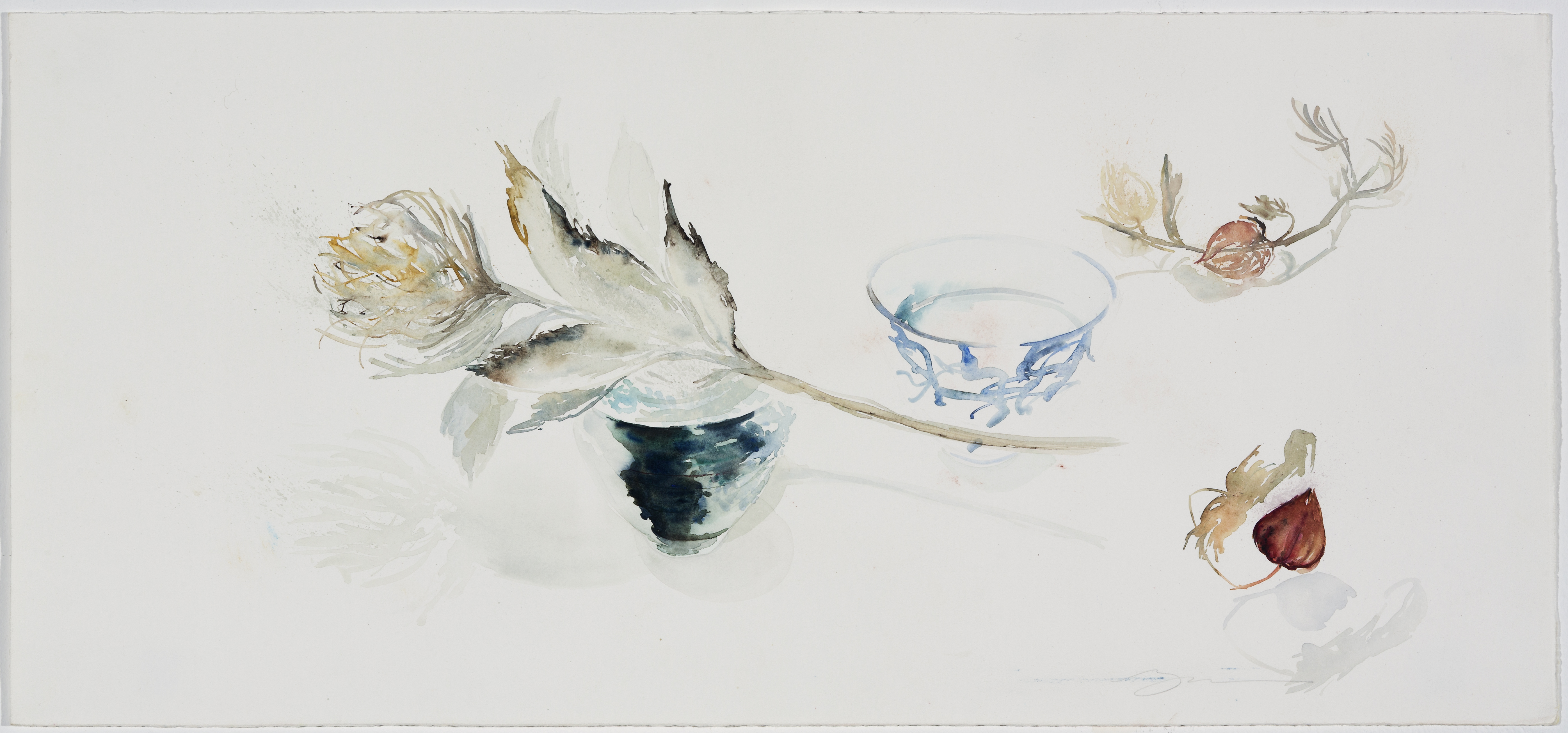 From Plants and Bowls Series #36