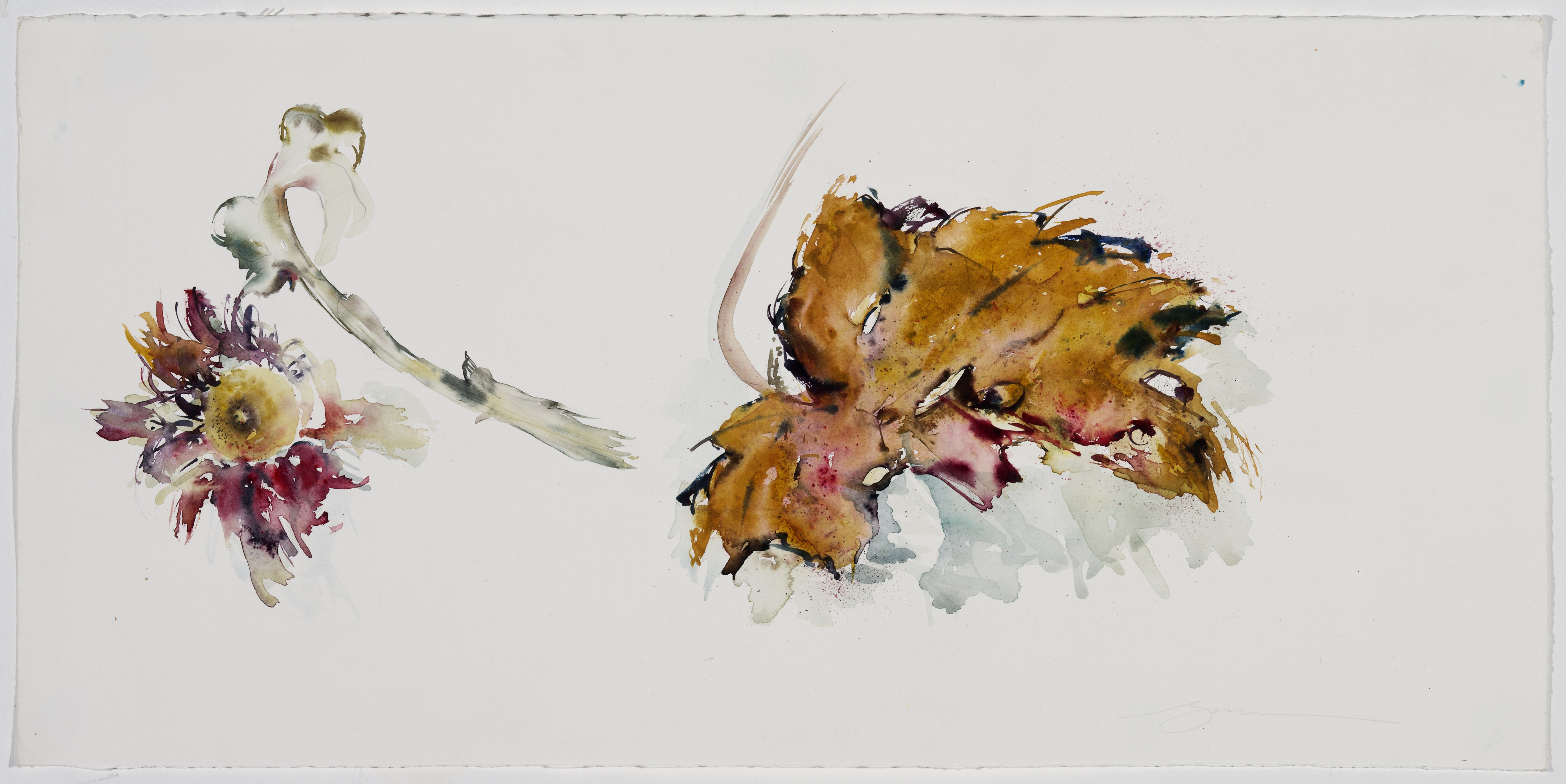 From Plants and Bowls Series #32