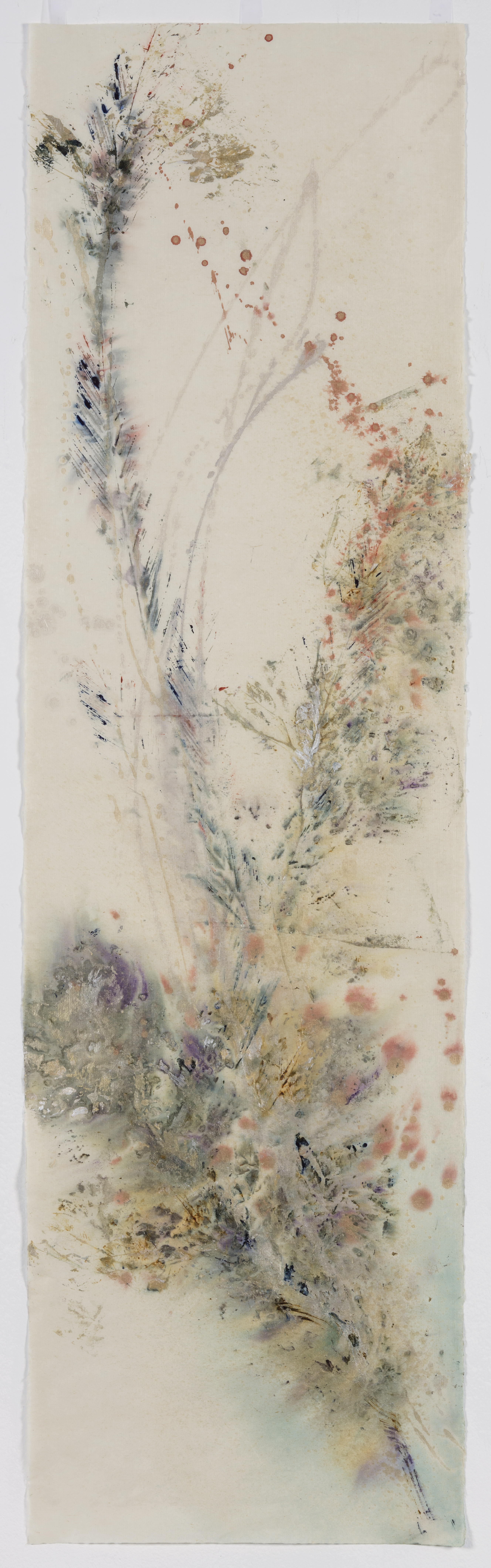 From series Abstract Florals 18