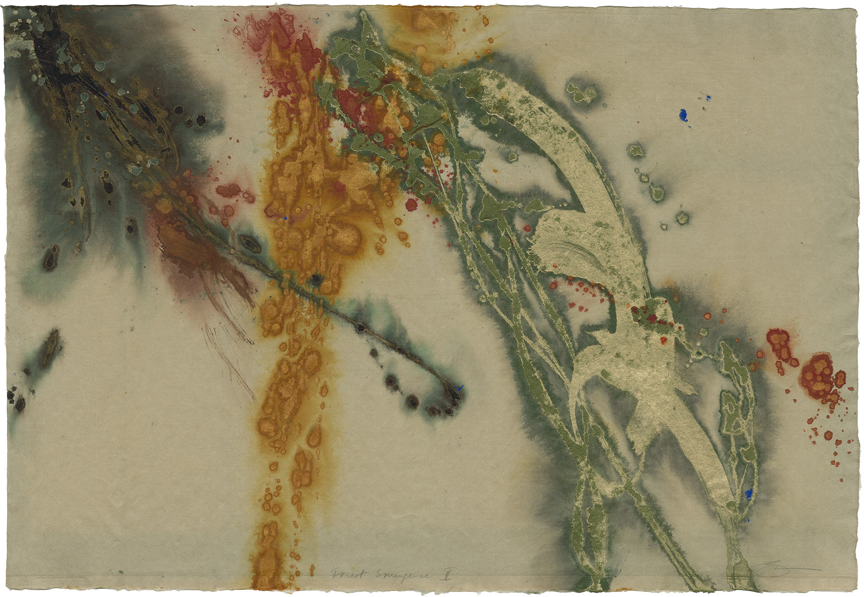Forest Emergence II