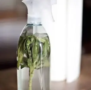 Homemade House Cleaning Products