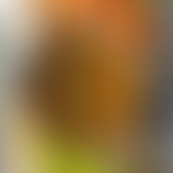 Homemade Chicken Broth