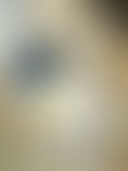 Chicken Alfredo (Crockpot)