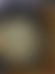 Aioli for Burgers, Sandwiches, Wraps