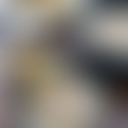 Creamy Chicken and Wild Rice Soup