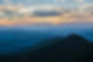chris-ried-D2NvTDuPME4-unsplash.jpg