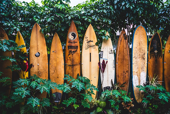 tatonomusic-FFCgotROOTY-unsplash.jpg