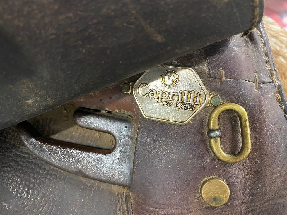 Thumbnail: All Purpose Saddle 16" Bates Caprilli