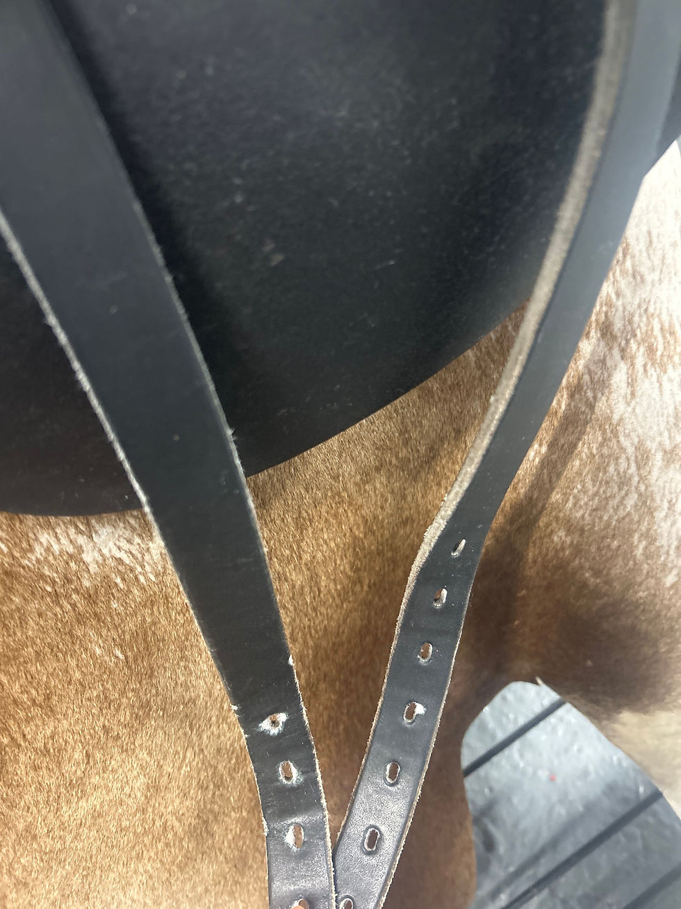 Thumbnail: Dressage Saddle 17” Passier Corona