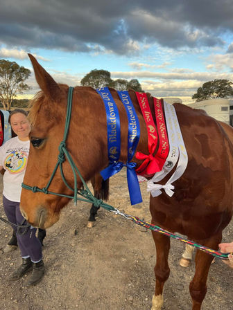 Rope Halter & Rainbow Lead.jpeg