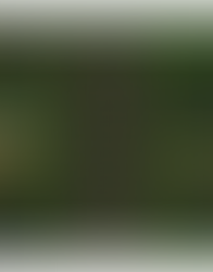 Week of 10/28 - 11/01