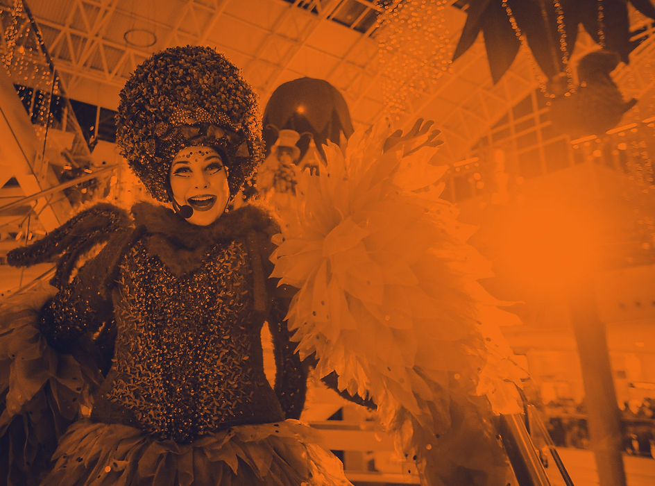 FAIXA PRINCIPAL (1).jpg