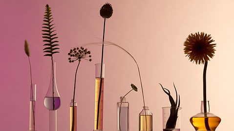 Natural Beauty Products _edited.jpg