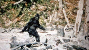 Bigfoot is Real