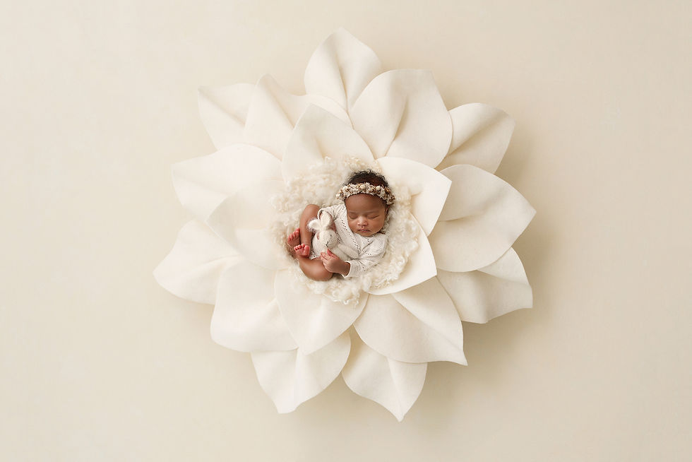 Baby Newborn Photographer caulfield