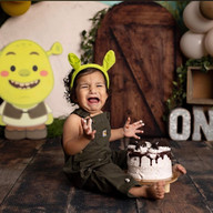 Shrek Cake Smash by Sophia's Photography