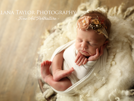 Baby Portraits