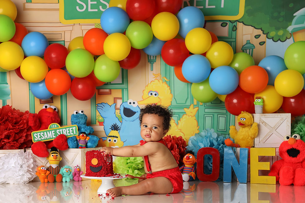 Sesame Street Cake Smash Theme Berwick