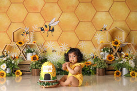 Honey Bee Cake Smash Theme | Cake Smash Photography Melbourne