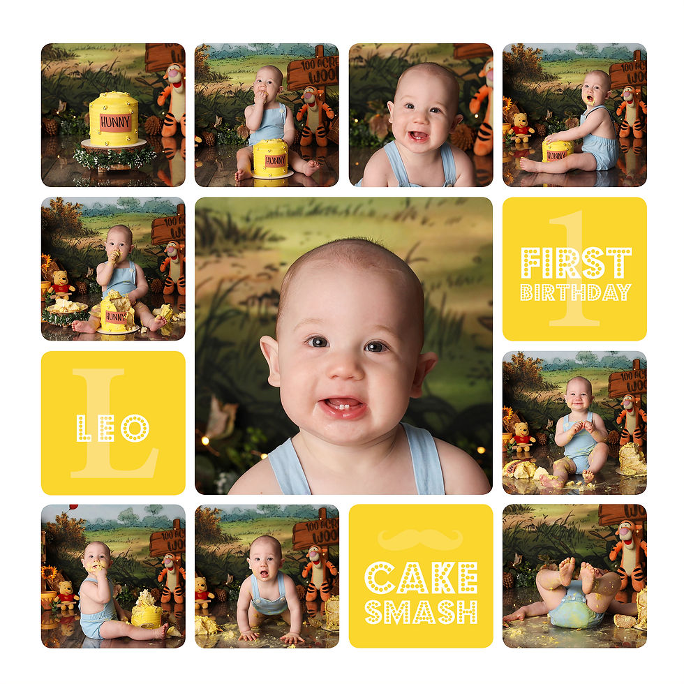 Winnie the Pooh Cake Smash