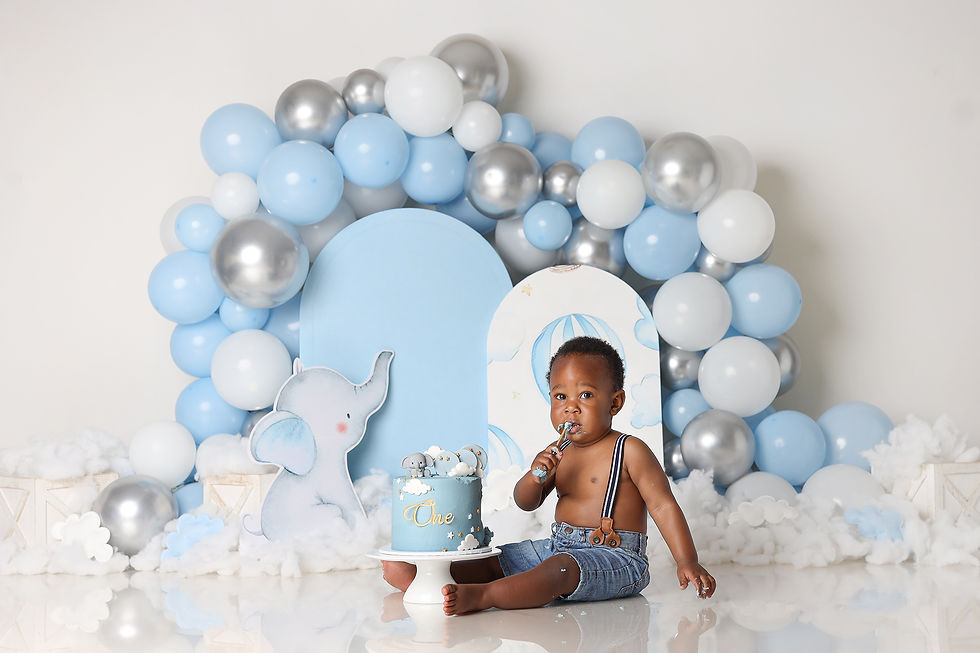 Hotair Balloons and Elephants Cake Smash Theme Melbourne