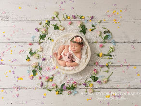 Baby Photographer Near Me