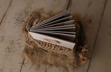 Selection of prints, albums, and wall art options available for purchase, showcasing a range of high-quality products
