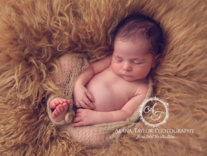 Lookout here comes Logan