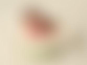 Definition of Beauty