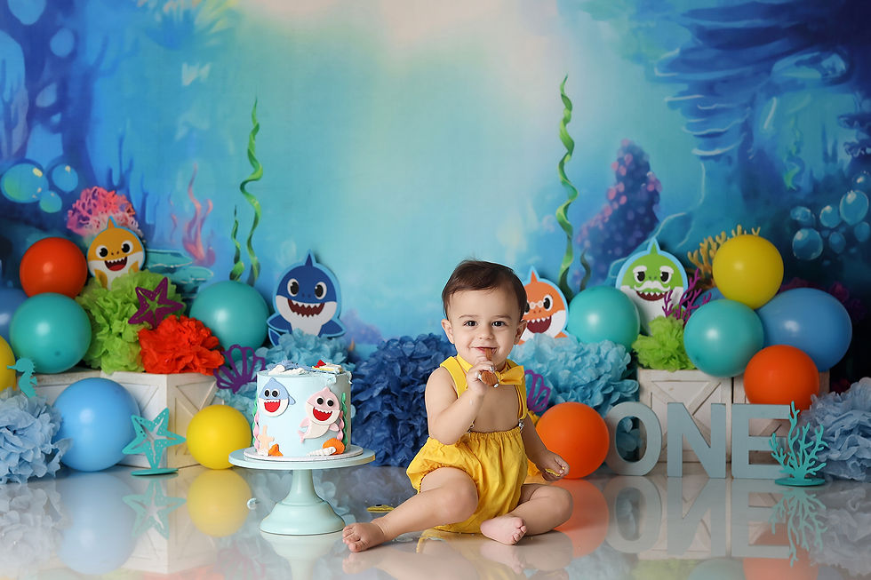 Baby Shark Cake Smash Theme. Cheap Cake Smash Photo Shoots Officer Melbourne