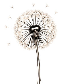 3D dandelion_edited.jpg