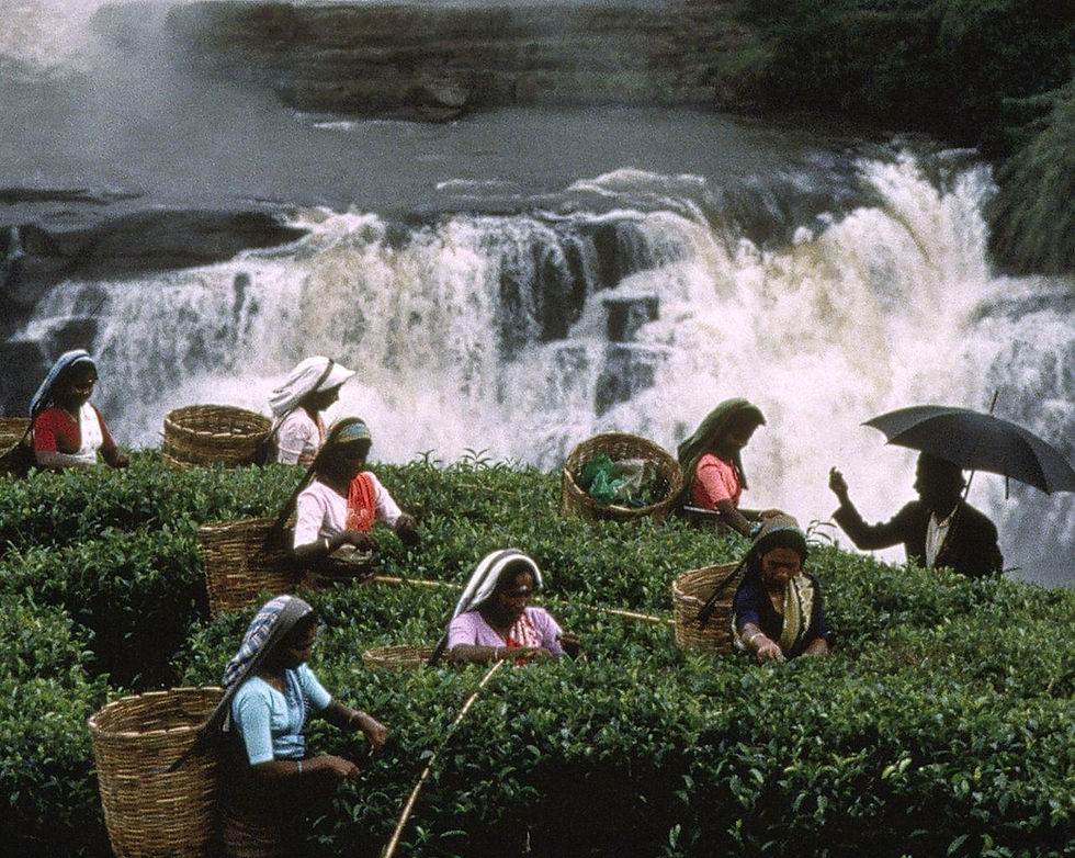 Detail_of_McCurry-SRILANKA.1995.-1995.jpg