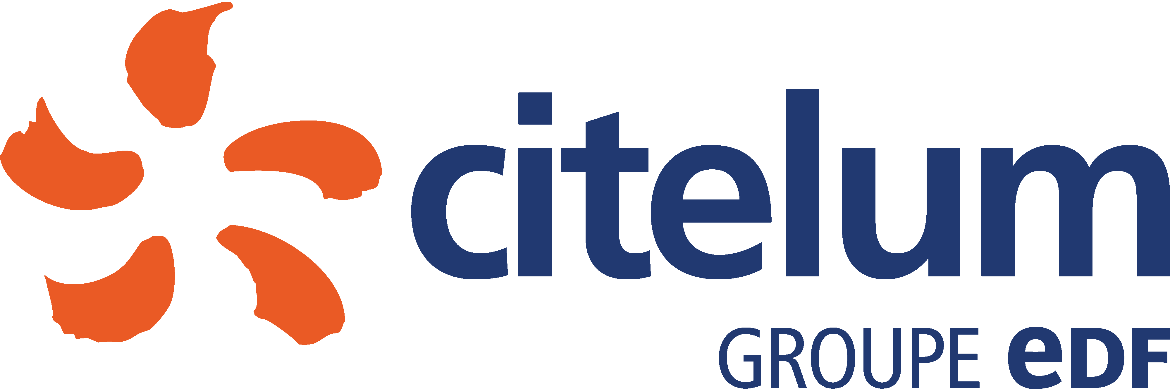 CITELUM_LOGO_RGB_V.gif