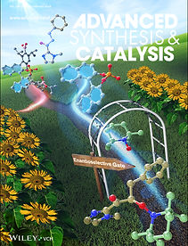 adsc.v368.3.cover.jpg