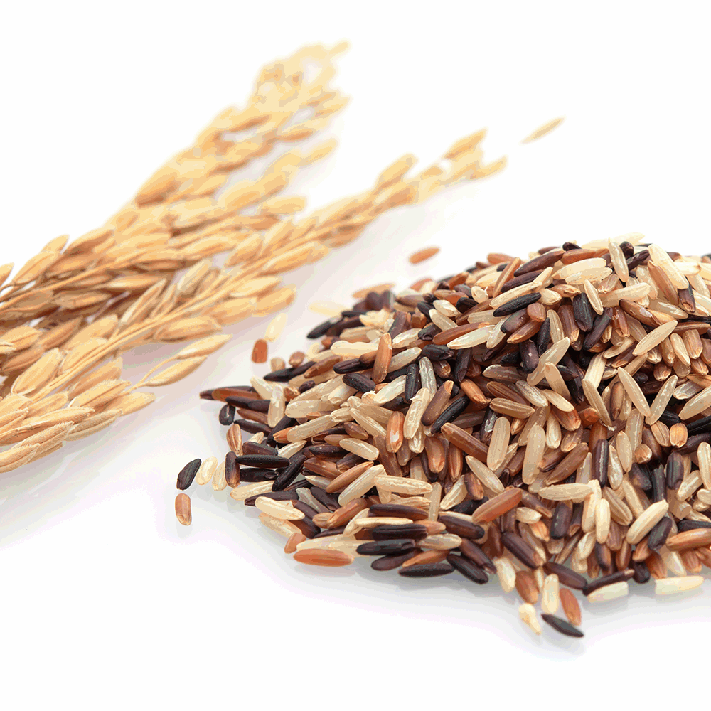 ข้าวกล้อง | Brown Rice
