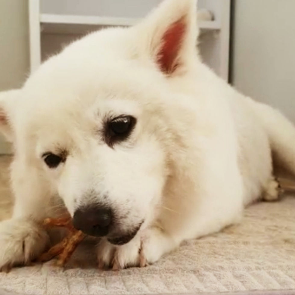 Thumbnail: Chicken Feet