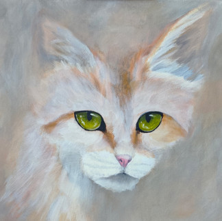 Sandkatze auf Leinwand