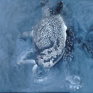 Oktopus auf Leinwand