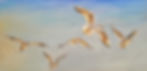 Seagulls at Sunset